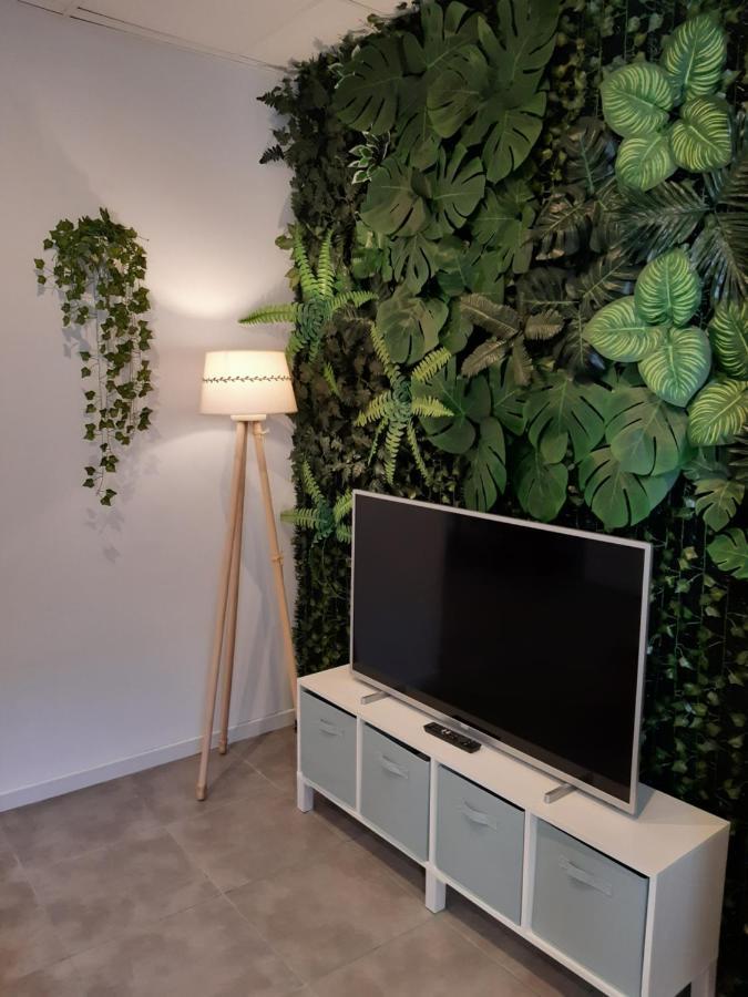 Tropical Garden Apartment Alicante Kültér fotó